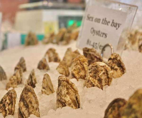 fresh oysters on display over ice