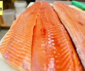 fresh salmon