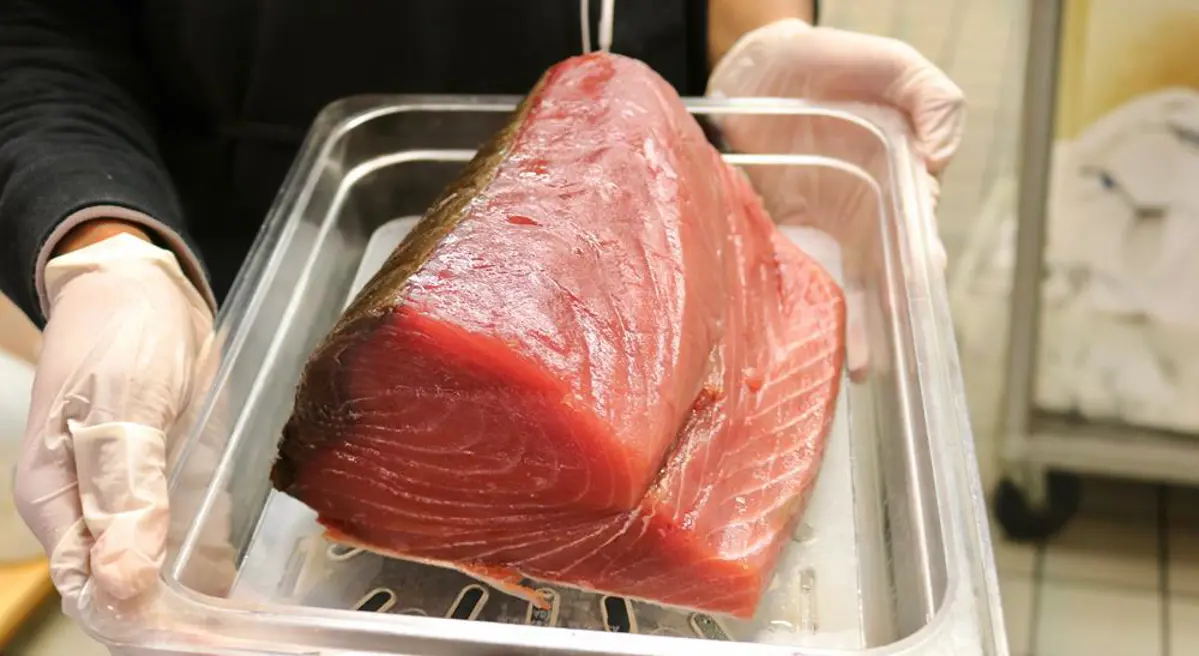fresh tuna, sushi grade, fresh fish, tuna 