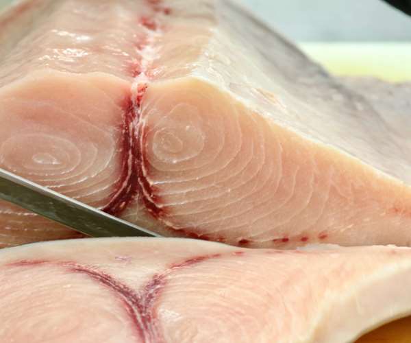 fresh swordfish steaks