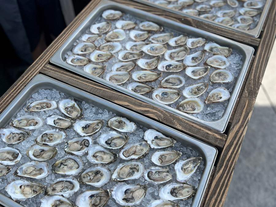 raw bar catering, capital region raw bar, raw bar catering, oysters, shrimp, caviar, guilderland, albany, saratoga, troy