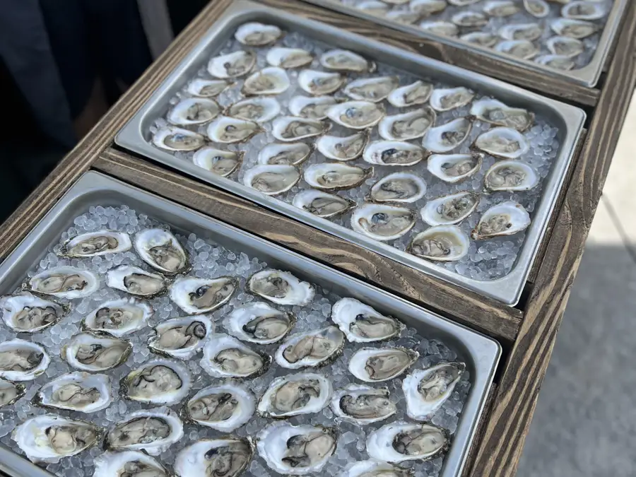 raw bar catering, capital region raw bar, raw bar catering, oysters, shrimp, caviar, guilderland, albany, saratoga, troy