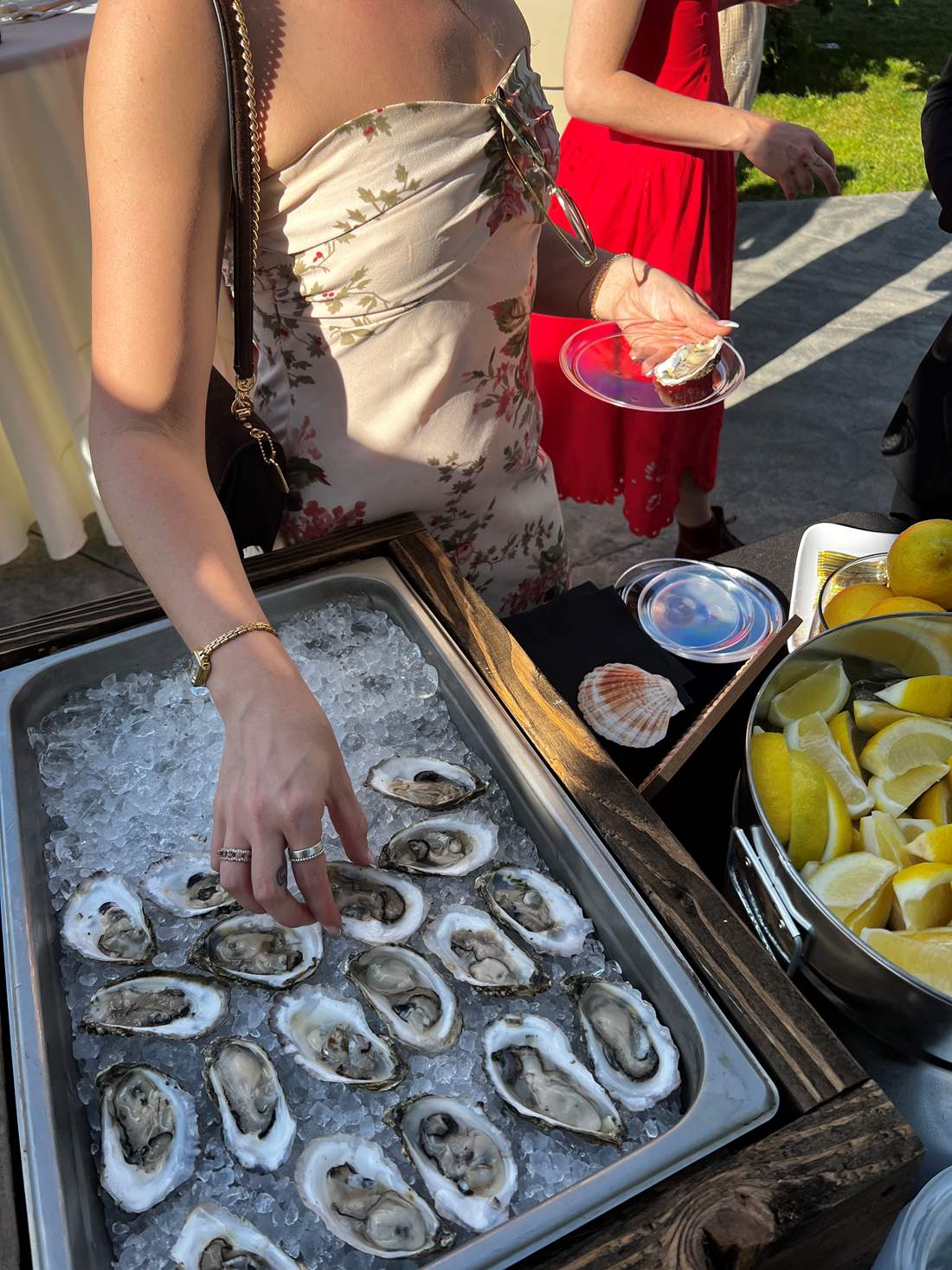 oyster raw bar expereince 
