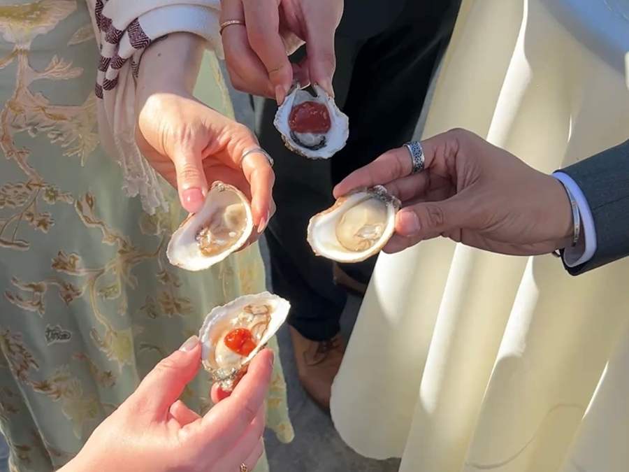 raw bar cocktail hour with oysters 
