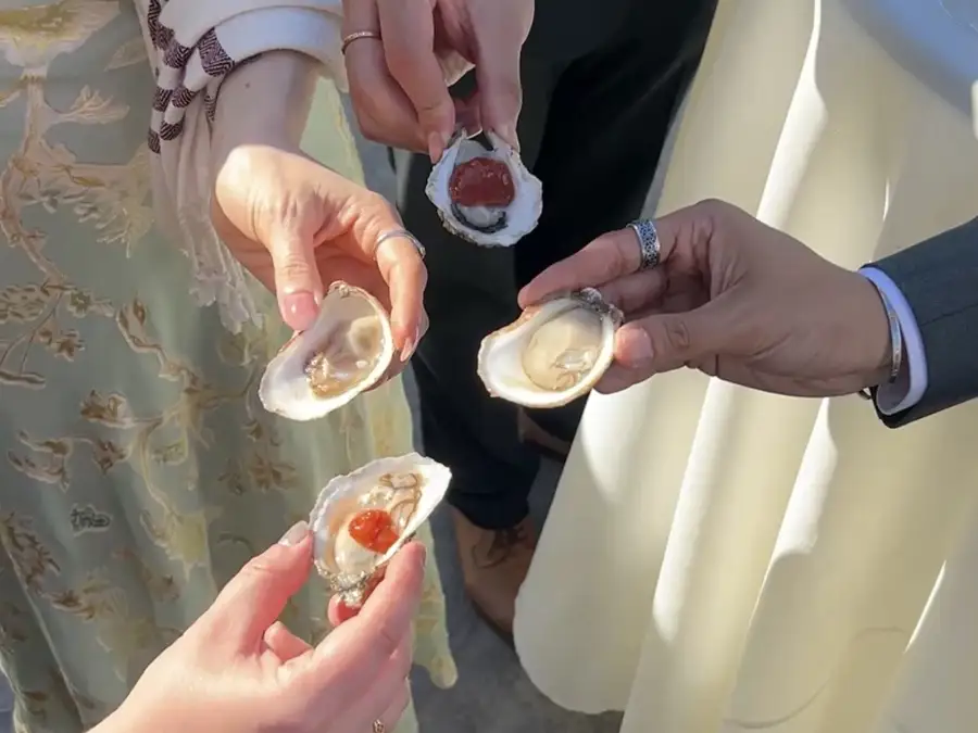 raw bar cocktail hour with oysters 