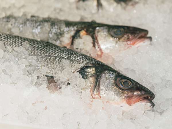 fresh sustainable 