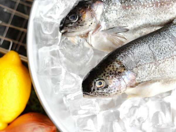 Our butterflied fresh Idaho trout can be stuffed with fresh herbs, lemon & garlic then, grilled or baked. Delicious!